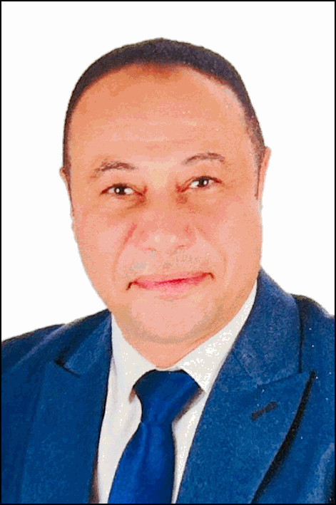 علاء الدين محمود محمد محمود