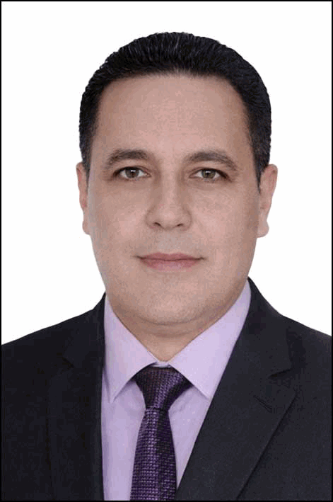عماد عبدالحميد محمد الغنيمي