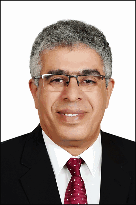 عماد الدين حسن أحمد محمد
