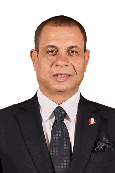 فوزي مامون حسن الجوجري