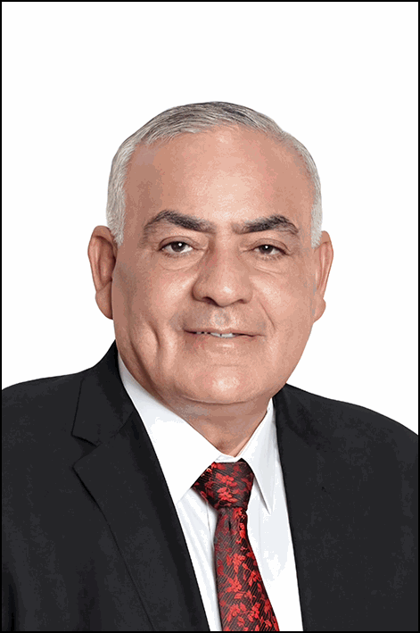 لطفي محمد إبراهيم عثمان شحاتة