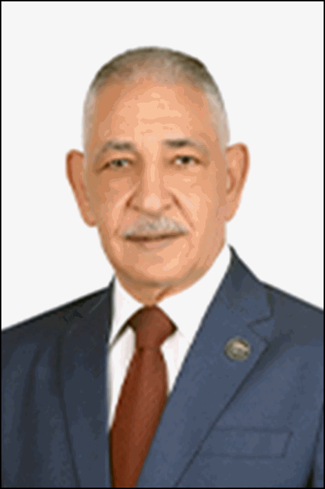 محمد أحمد أحمد زايد