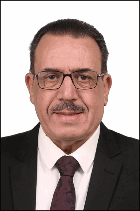 محمد السيد عبدالباقي عامر