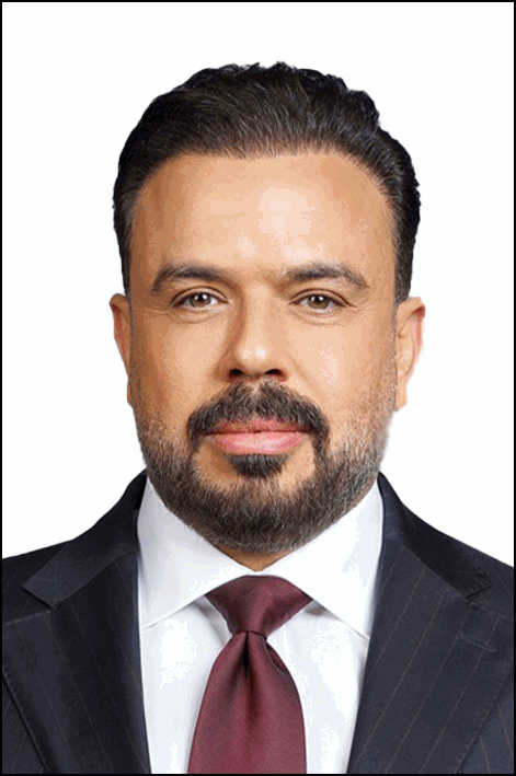 محمد السيد محمد مجاهد