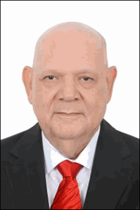 محمد ماهر حامد محمد خليل