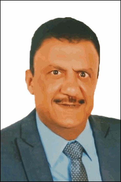 محمد محمد حفني محمد