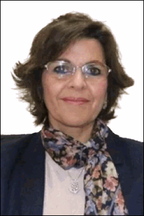 منال حمدي محمود السيد