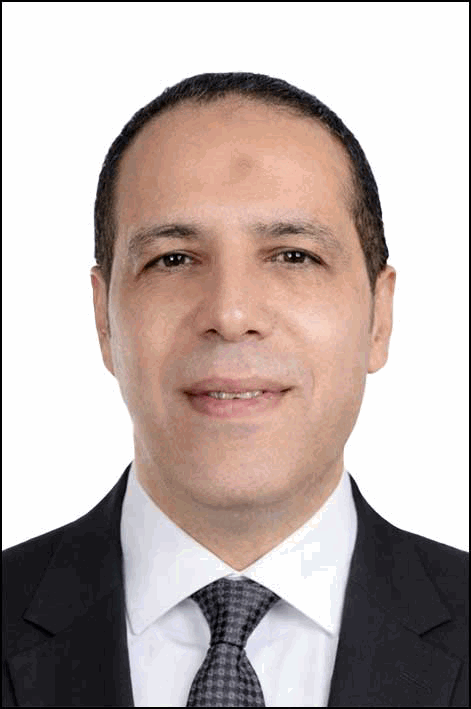 الصافي عبد العال محمد الصغير