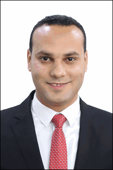 أنس محمد علي محمد هلول