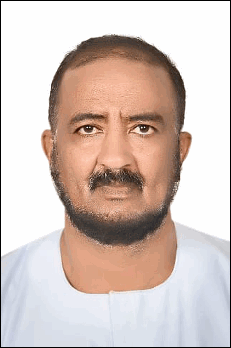 حامد السيد الحسيني عابدين حسن