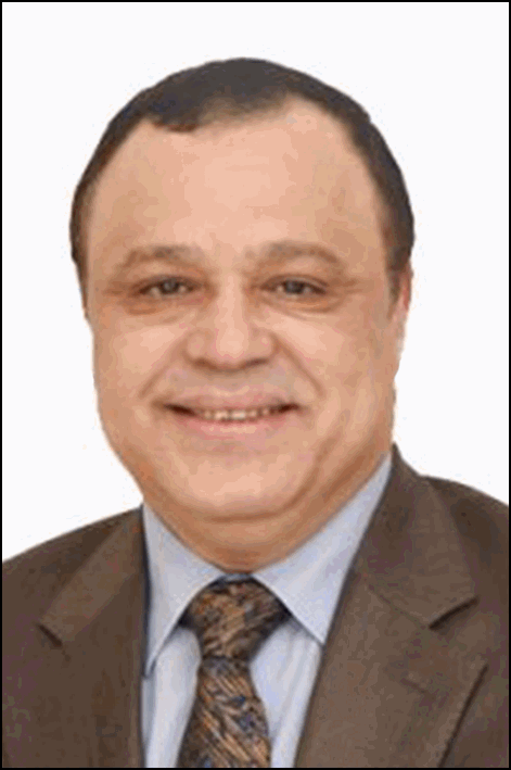 حسام محمد إسماعيل عبد الحليم الصيرفي