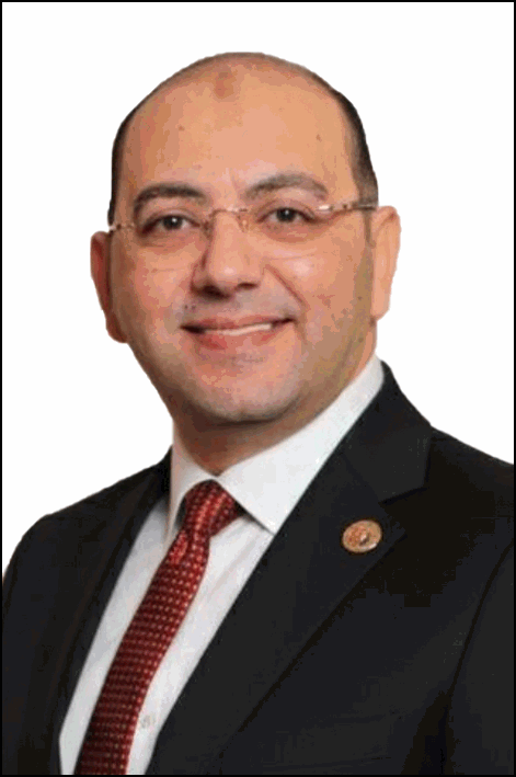 أحمد حسن السيد فهمي سلامة العطيفي